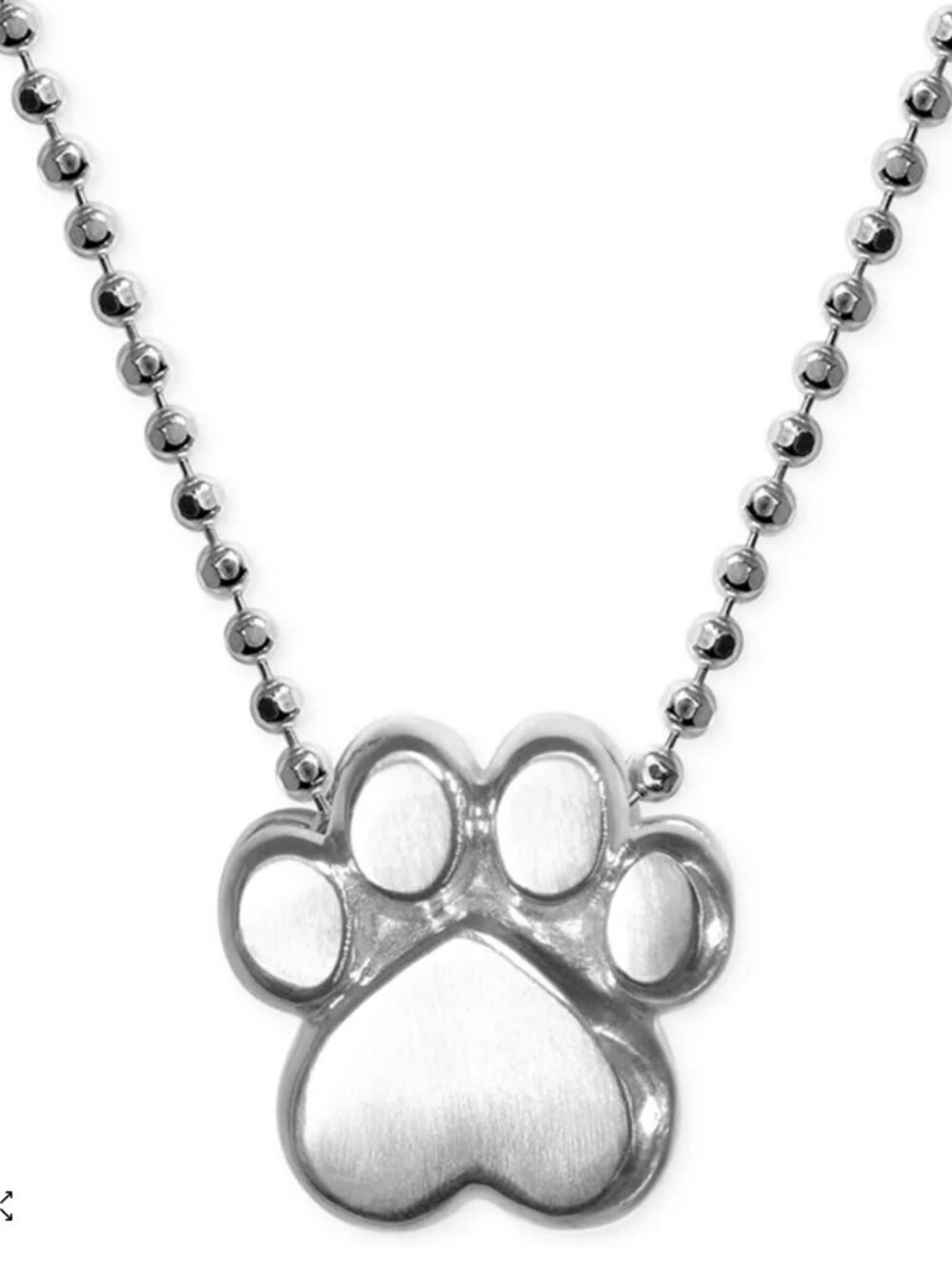 Little Activists by Alex Woo Paw Pendant Necklace in Sterling Silver